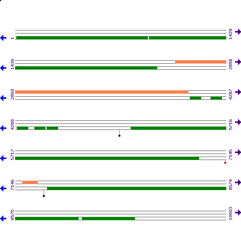 Genome View