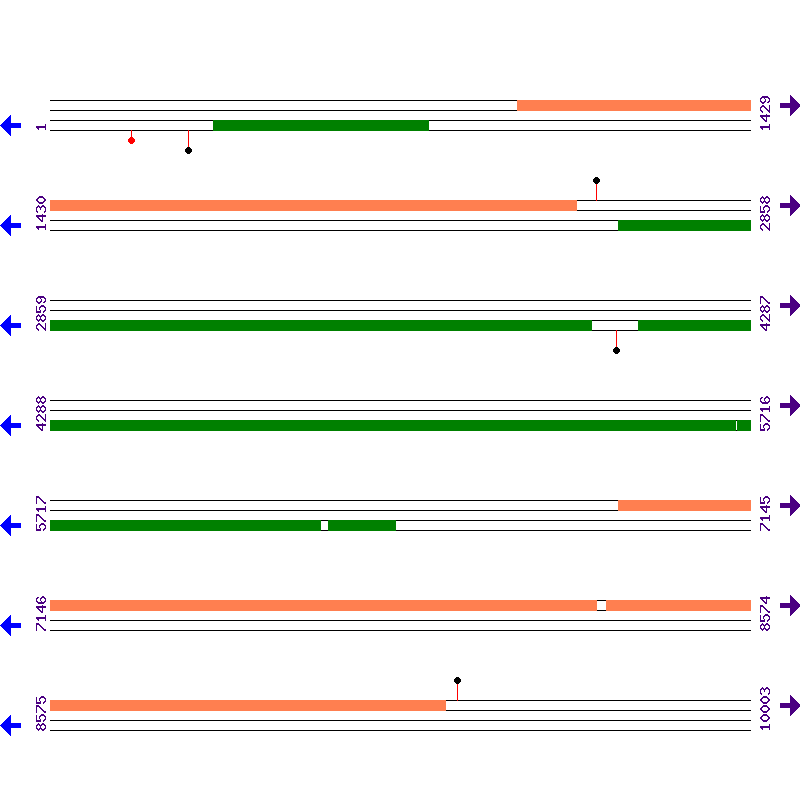 Genome View