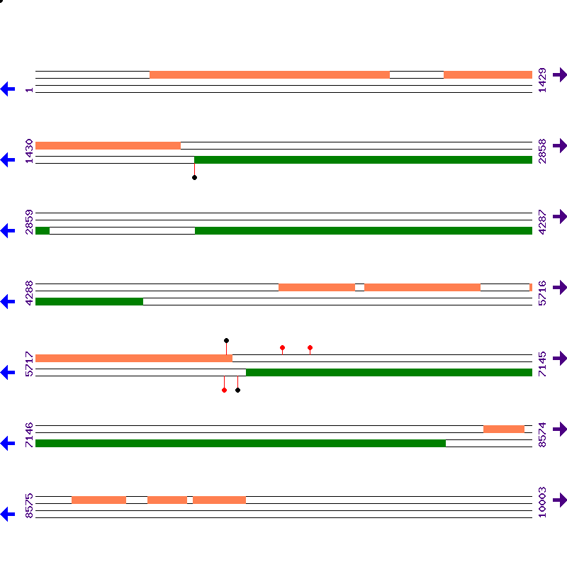 Genome View