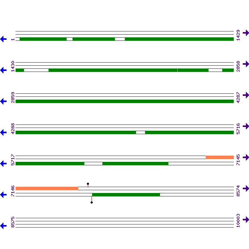 Genome View