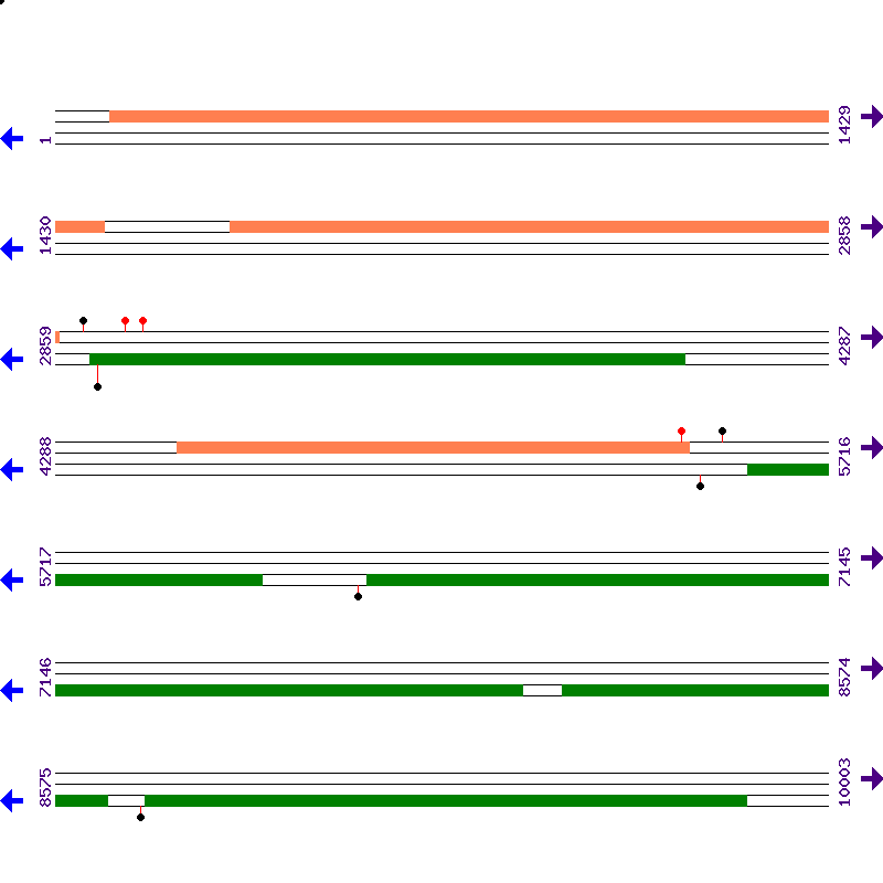 Genome View