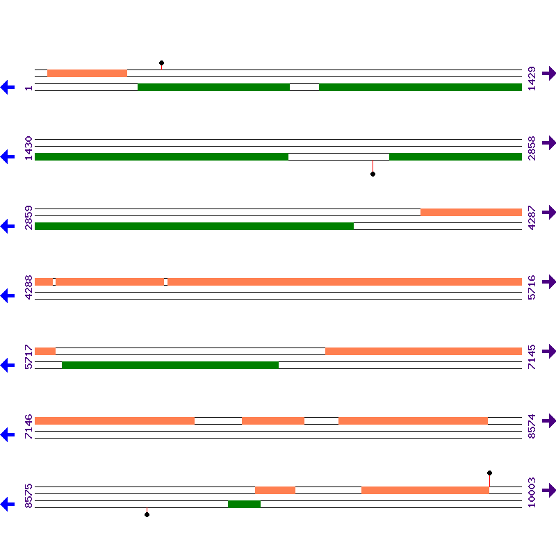 Genome View