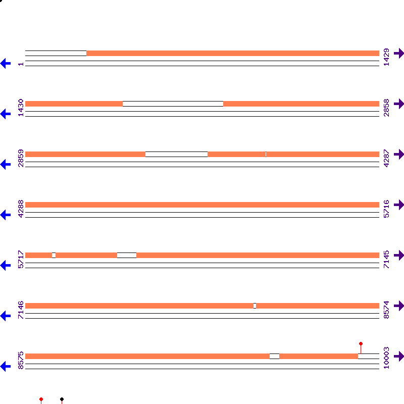 Genome View
