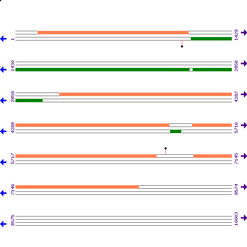 Genome View