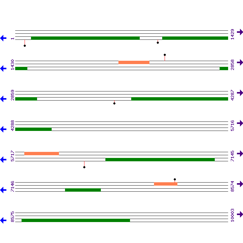 Genome View