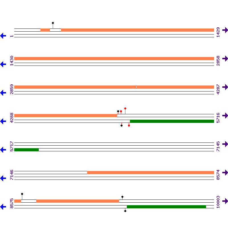Genome View