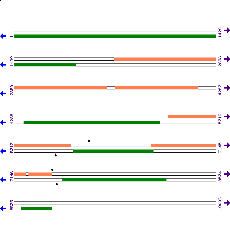 Genome View