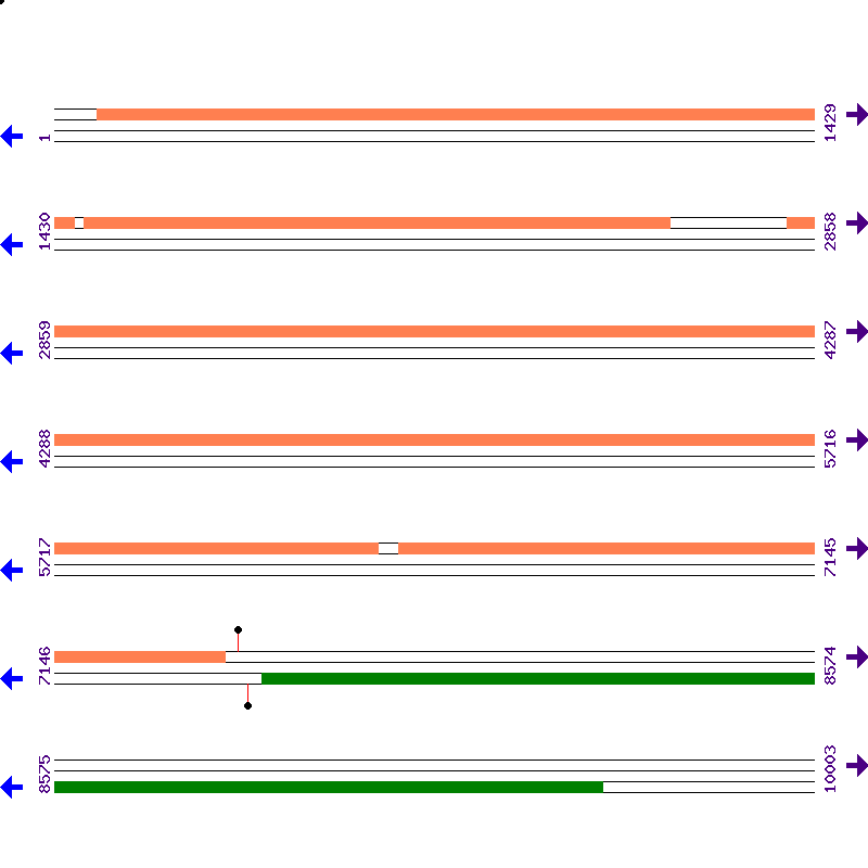 Genome View