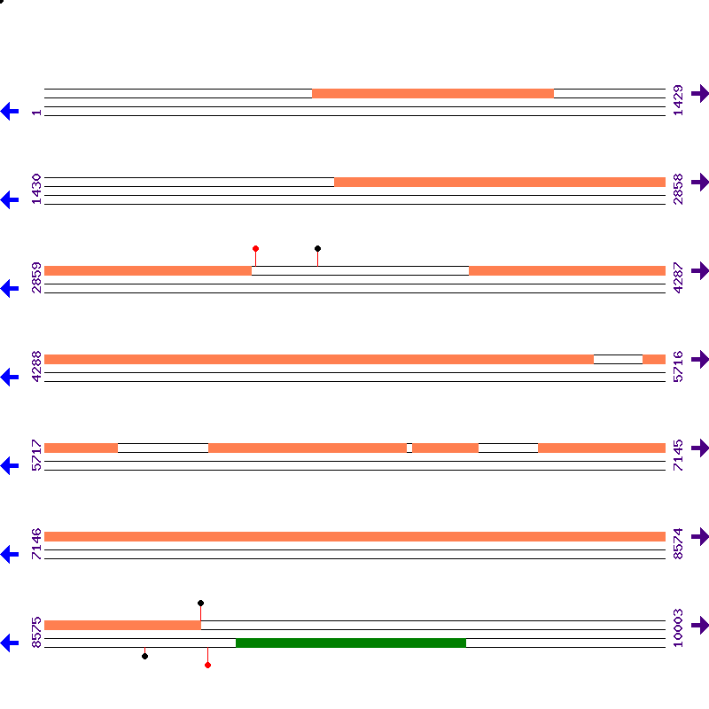 Genome View