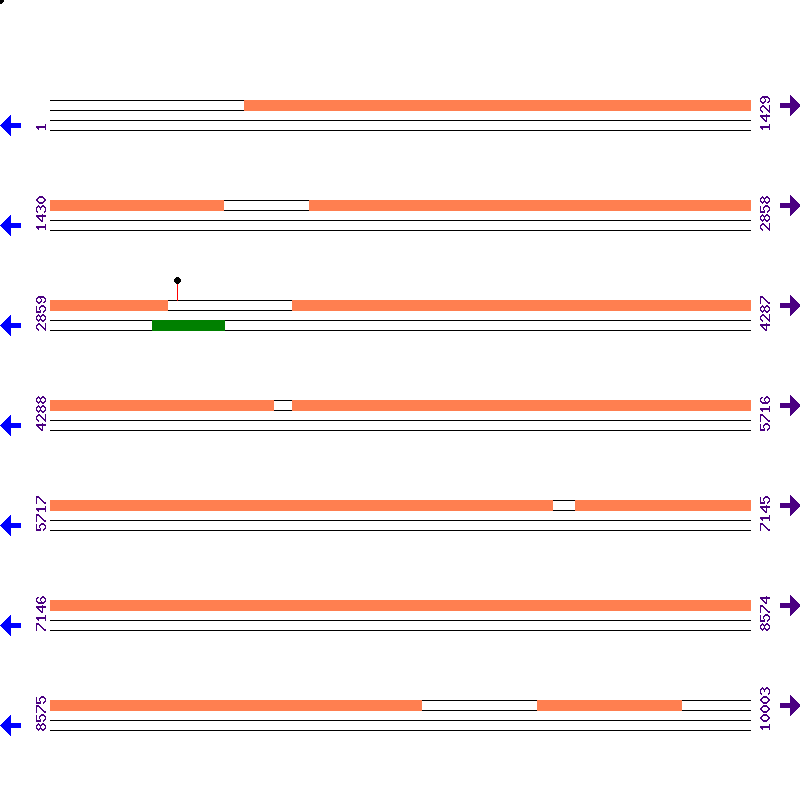 Genome View