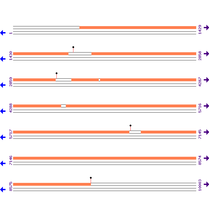 Genome View