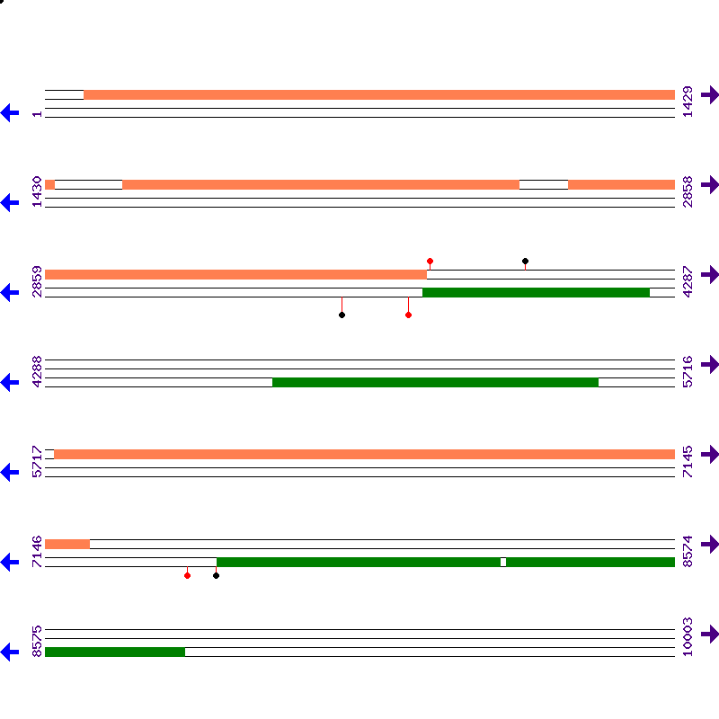 Genome View