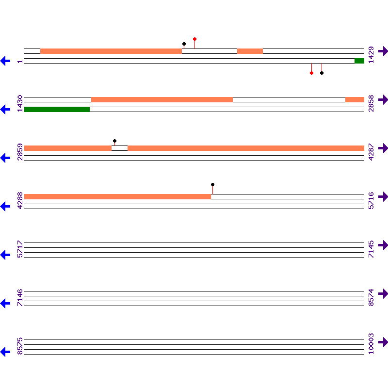 Genome View