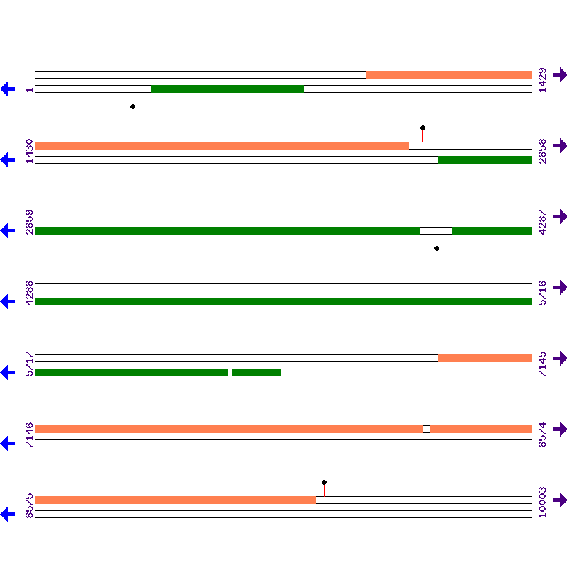 Genome View