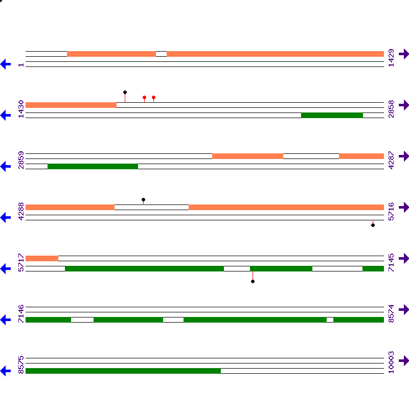 Genome View