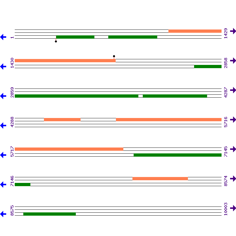 Genome View