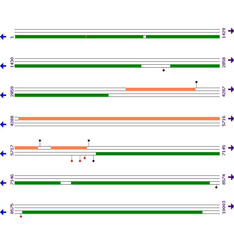 Genome View