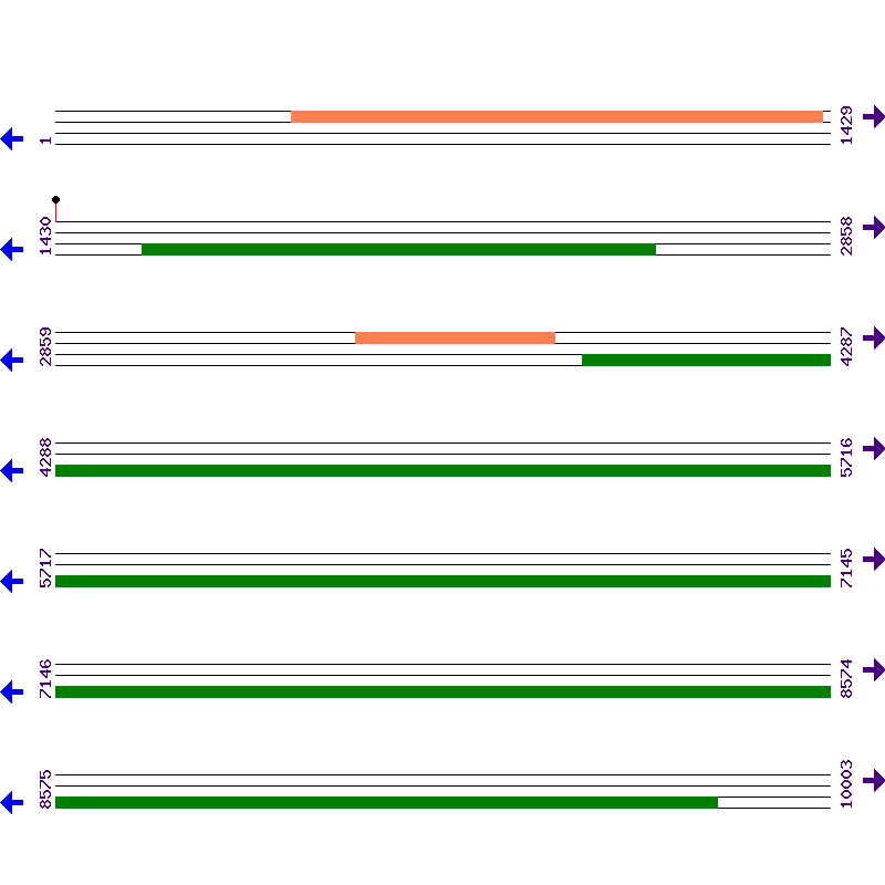 Genome View