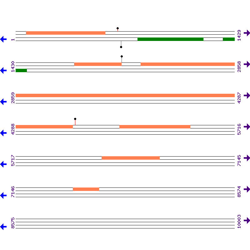 Genome View
