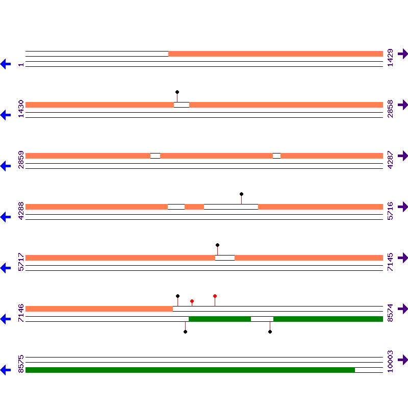 Genome View