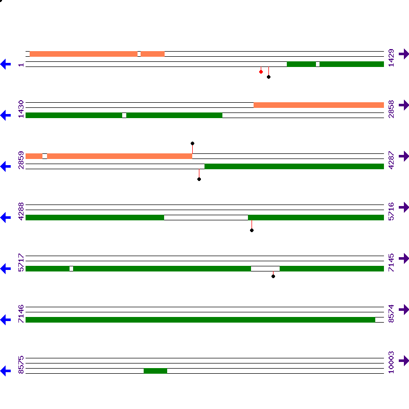 Genome View