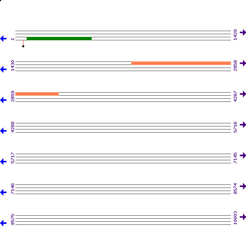 Genome View