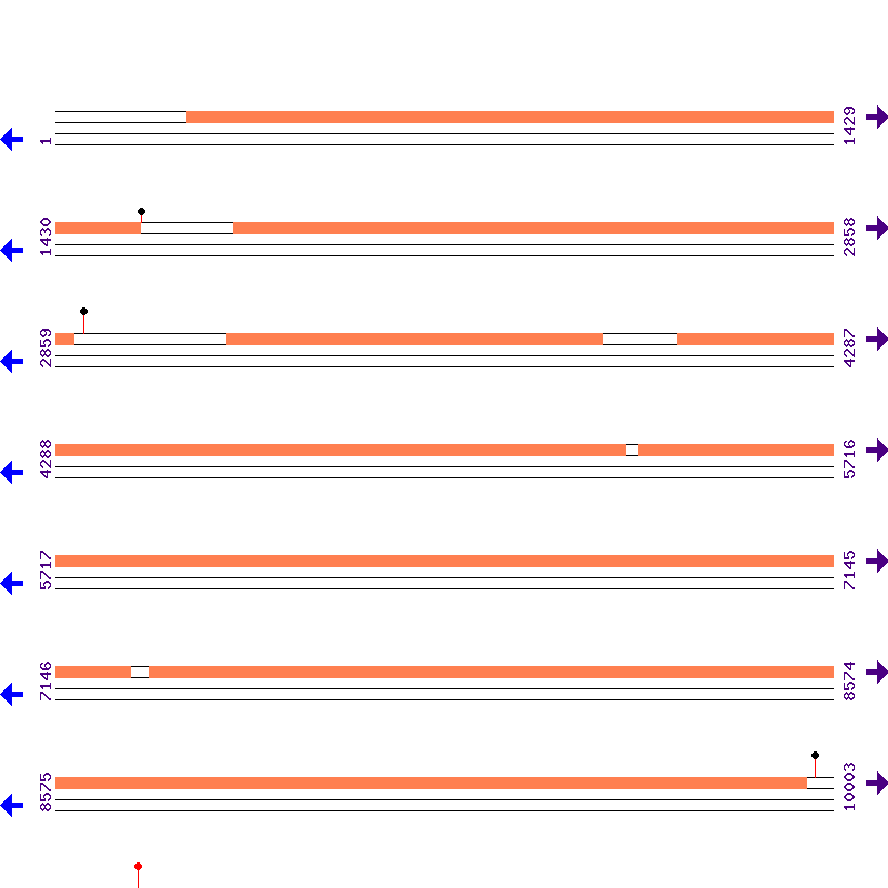 Genome View