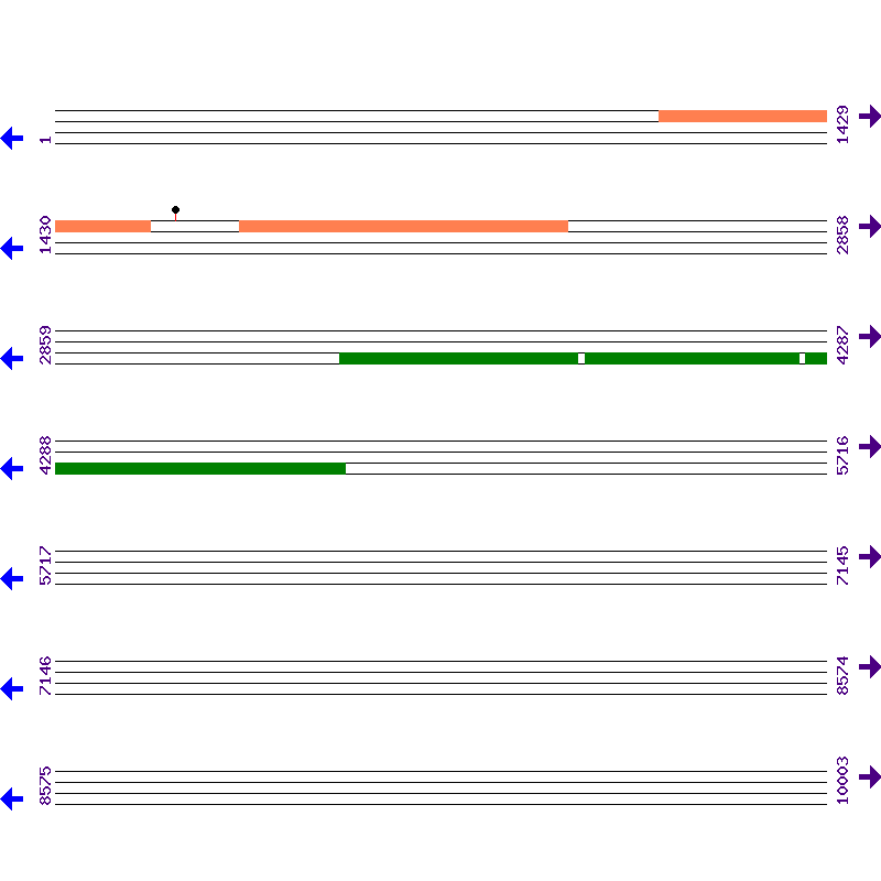 Genome View