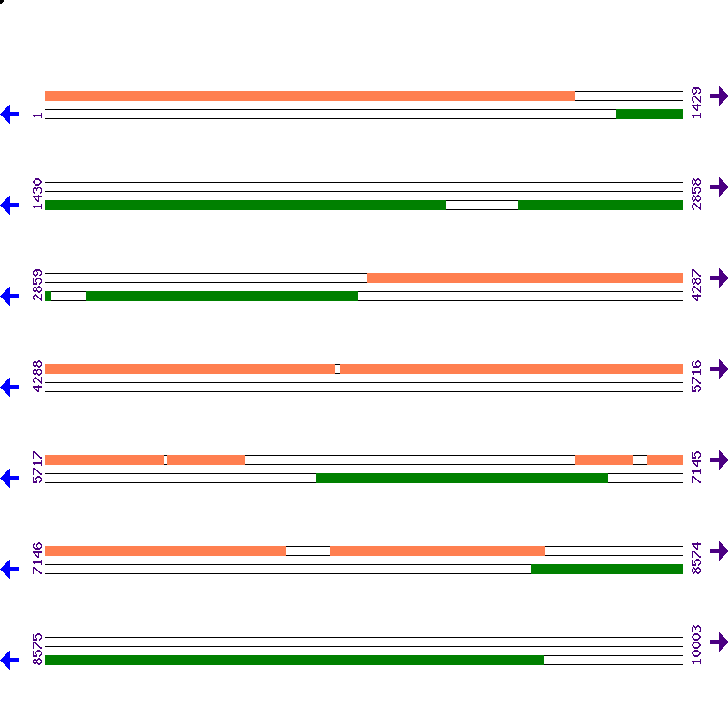 Genome View