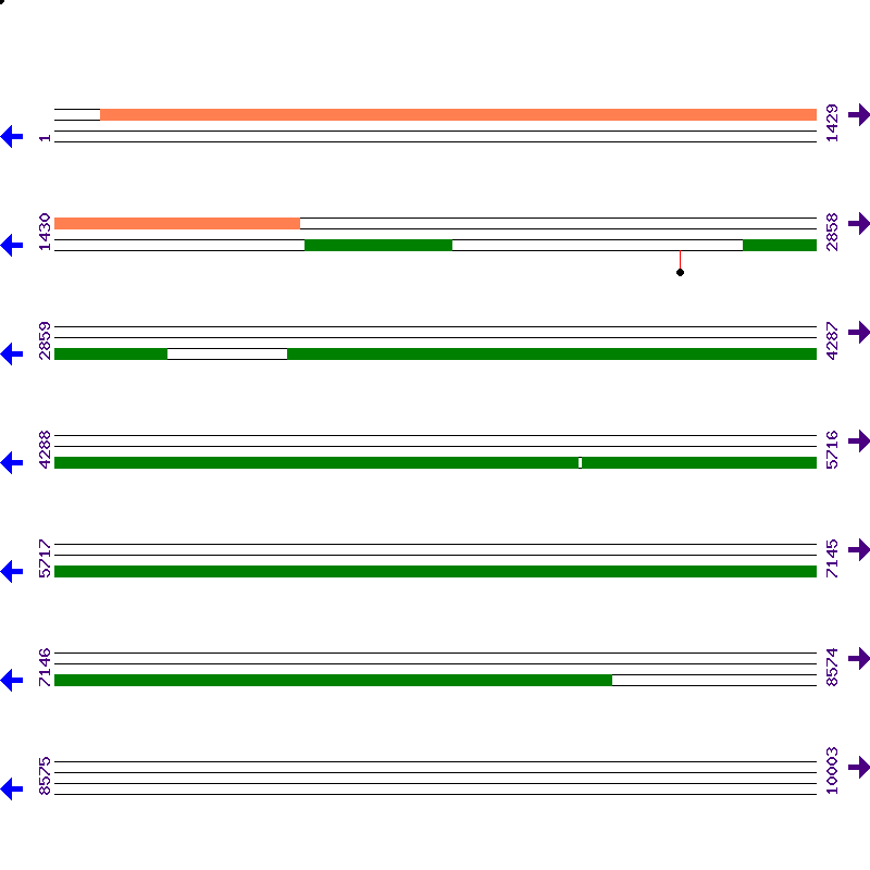 Genome View