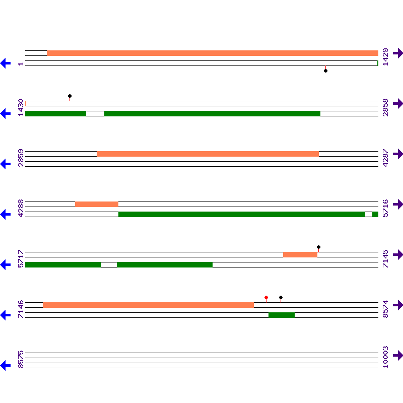 Genome View