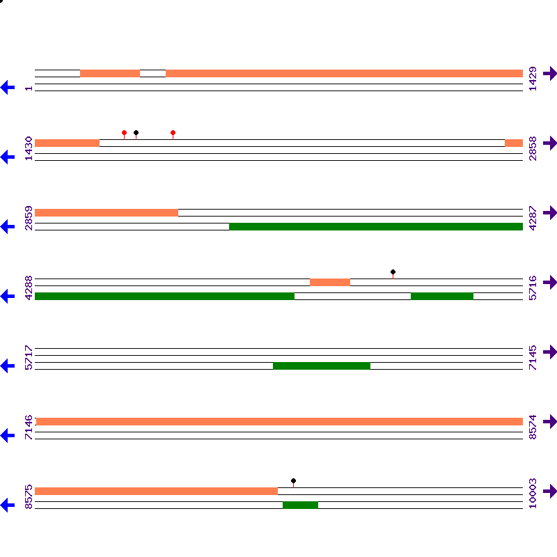 Genome View
