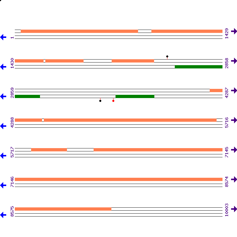 Genome View