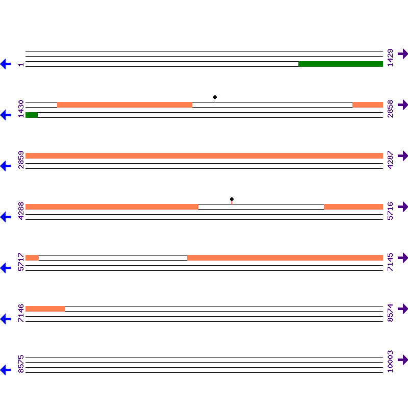 Genome View
