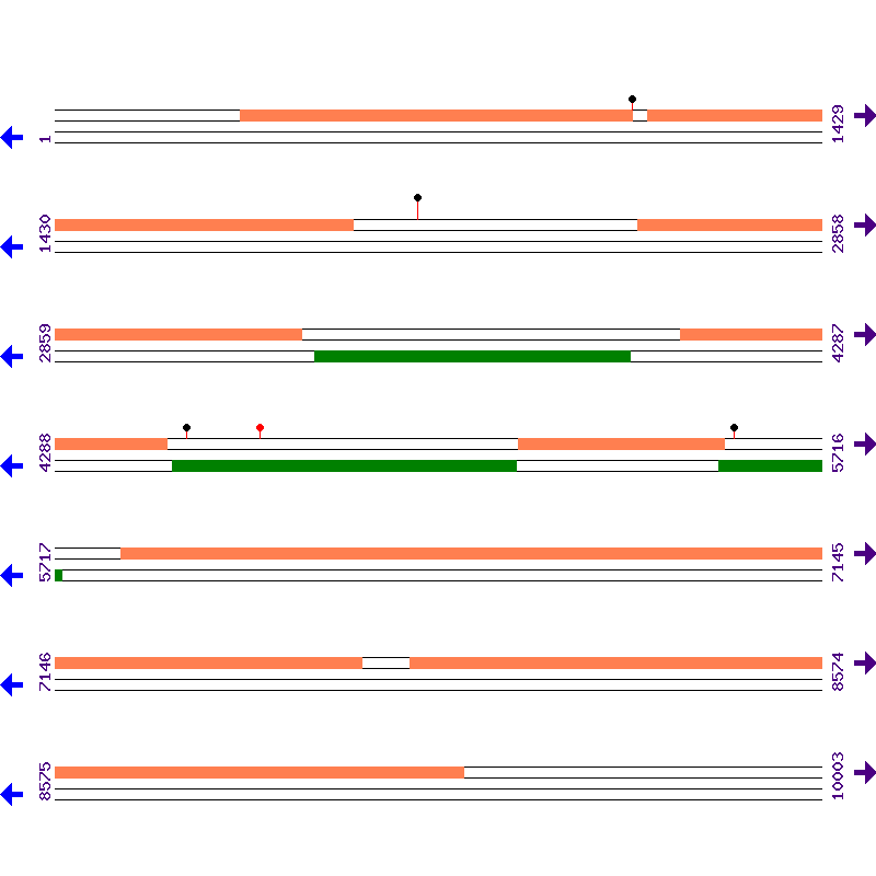Genome View