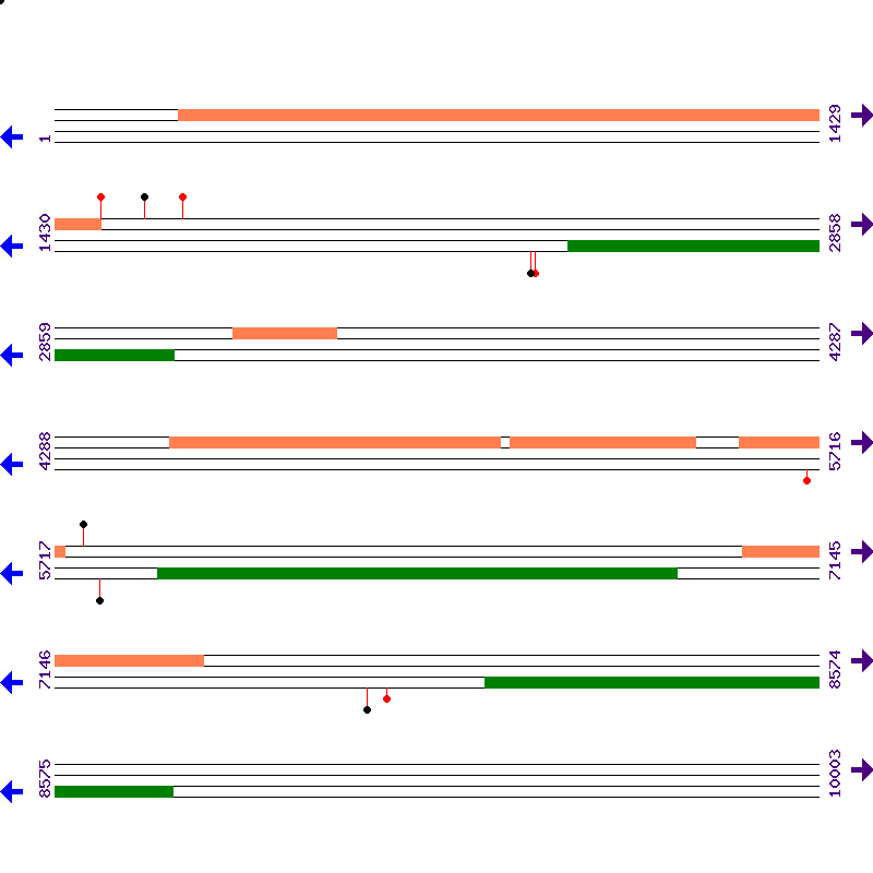 Genome View