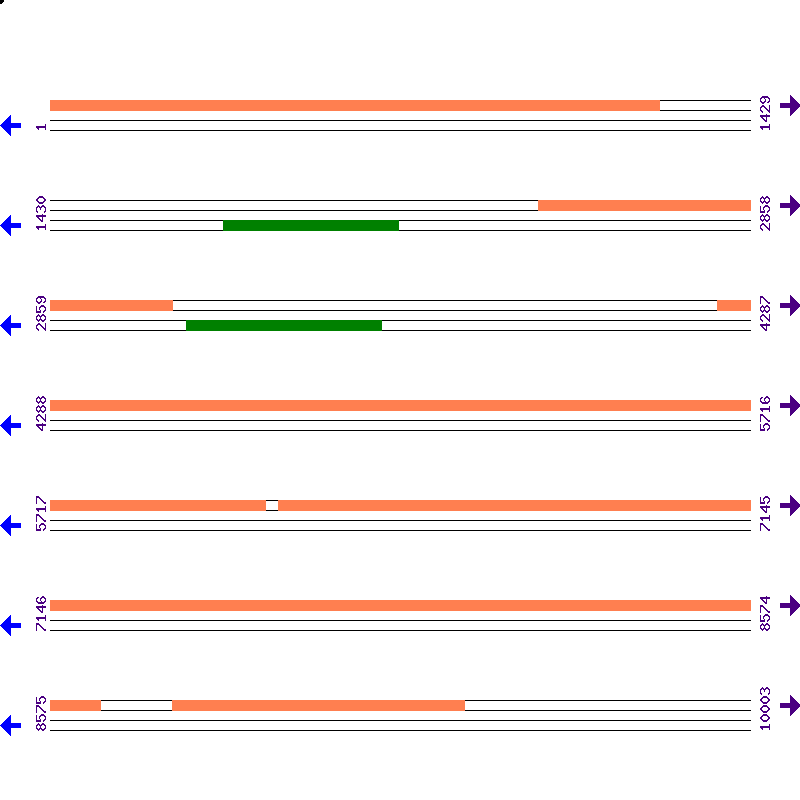 Genome View
