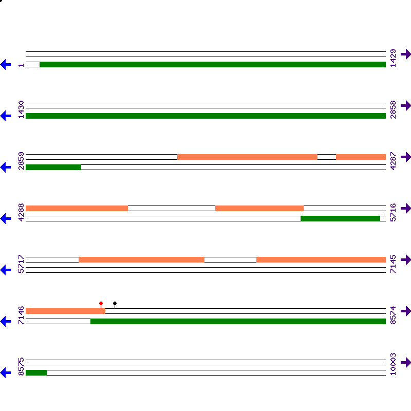 Genome View