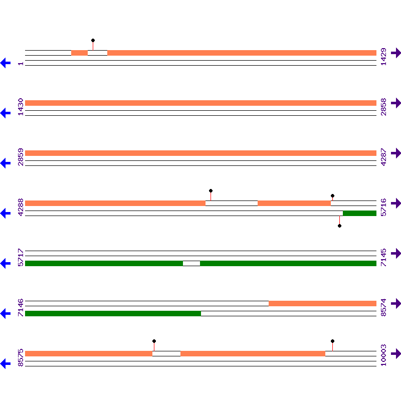 Genome View
