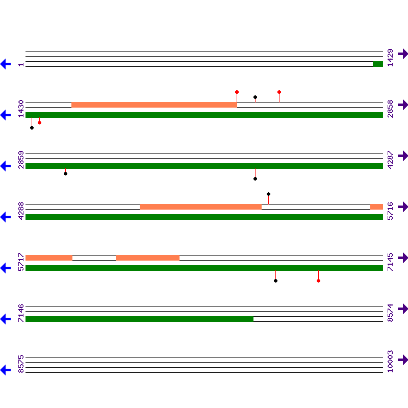 Genome View