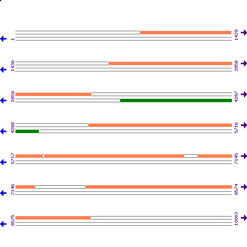 Genome View