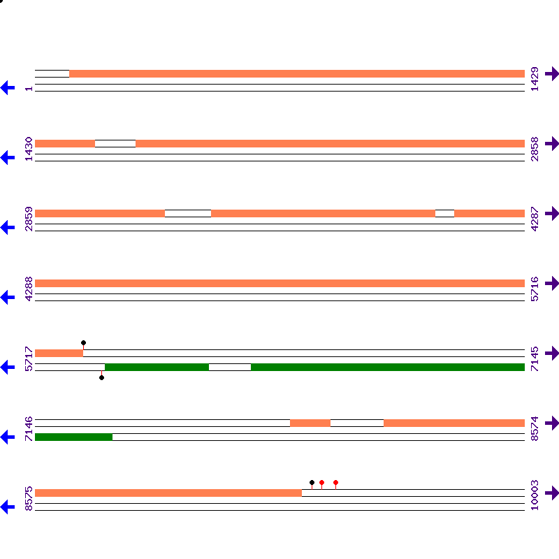 Genome View