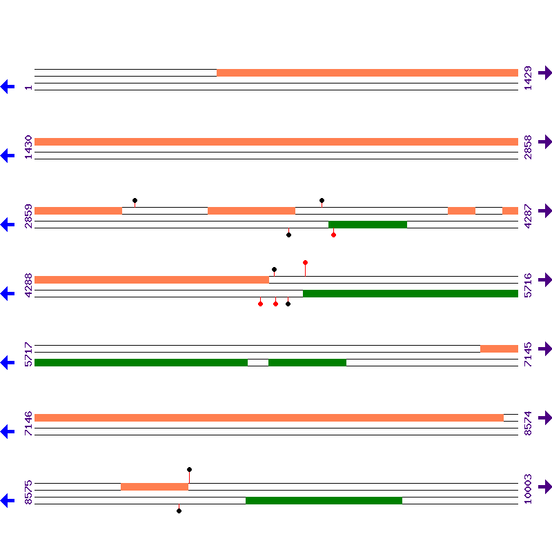 Genome View
