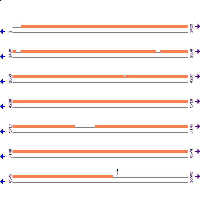 Genome View
